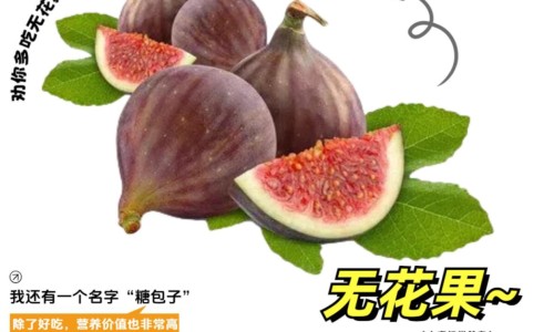 松花粉哪十大功效-松花粉有什么疗效效果网 - 为你提供松花粉有什么疗效效果呢、松花粉哪十大功效