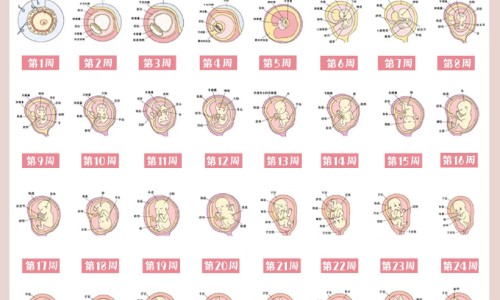 松花粉有什么疗效效果网 - 为你提供松花粉有什么疗效效果呢、松花粉哪十大功效